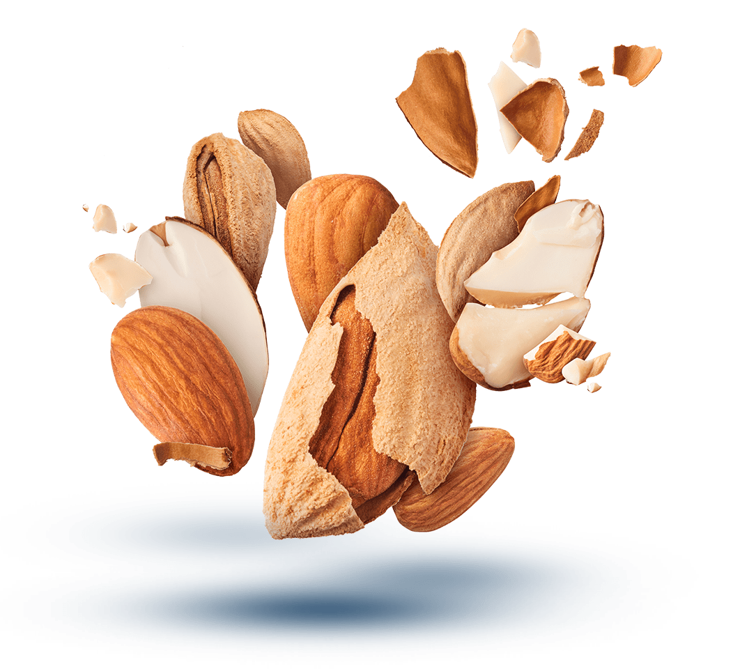 https://moll-marzipan.de/wp-content/uploads/2023/06/Werbeheader01.png