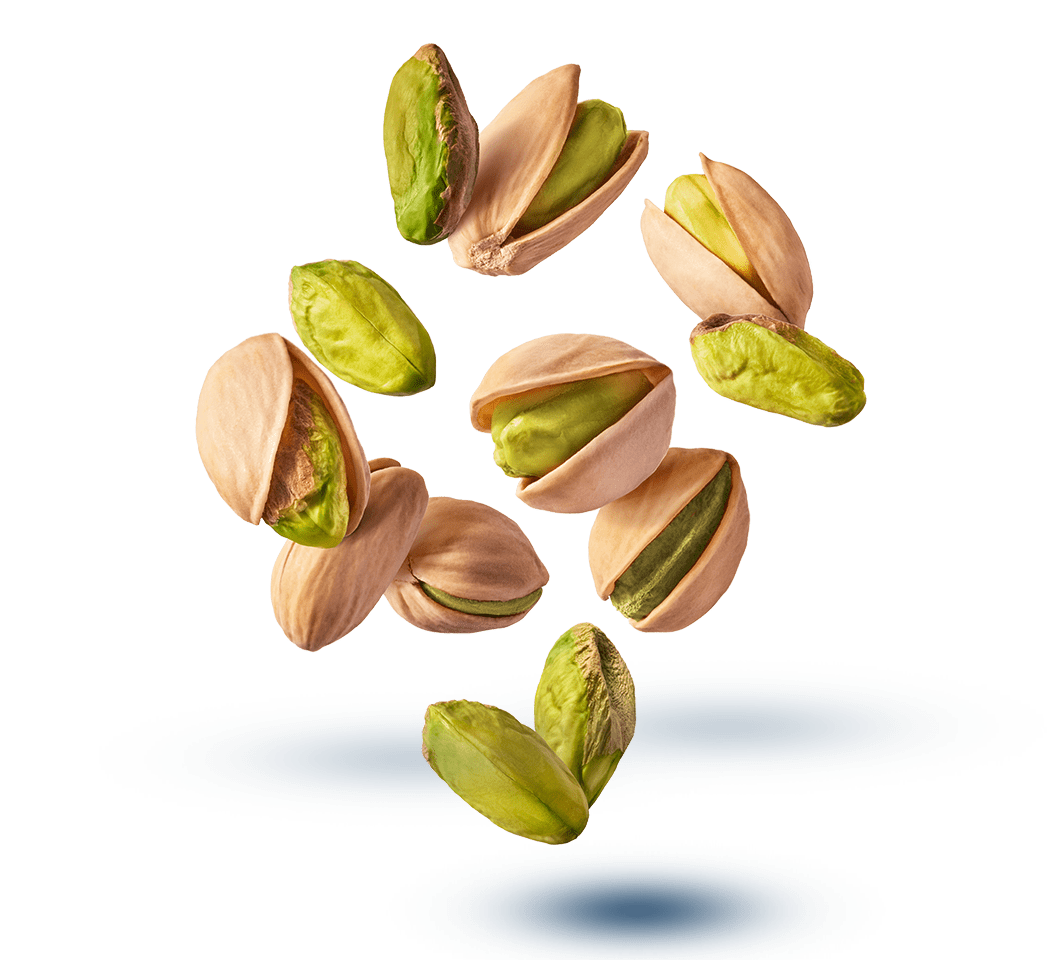 https://moll-marzipan.de/wp-content/uploads/2023/06/Werbeheader02.png