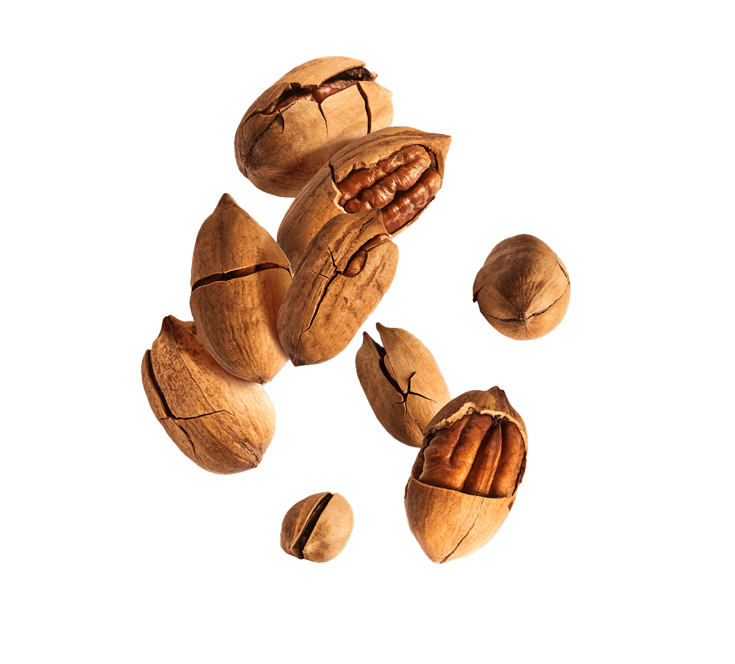 https://moll-marzipan.de/wp-content/uploads/2024/01/PECAN.png