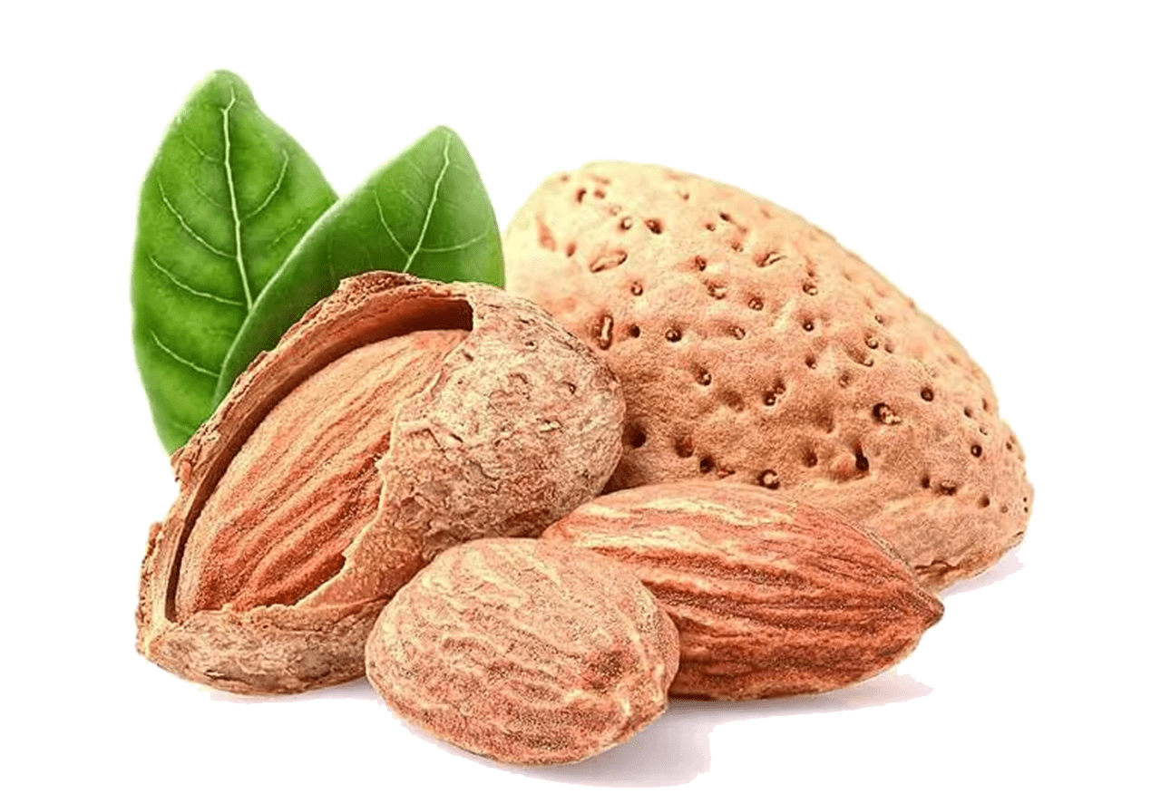 https://moll-marzipan.de/wp-content/uploads/2024/09/MAND-Trans.png