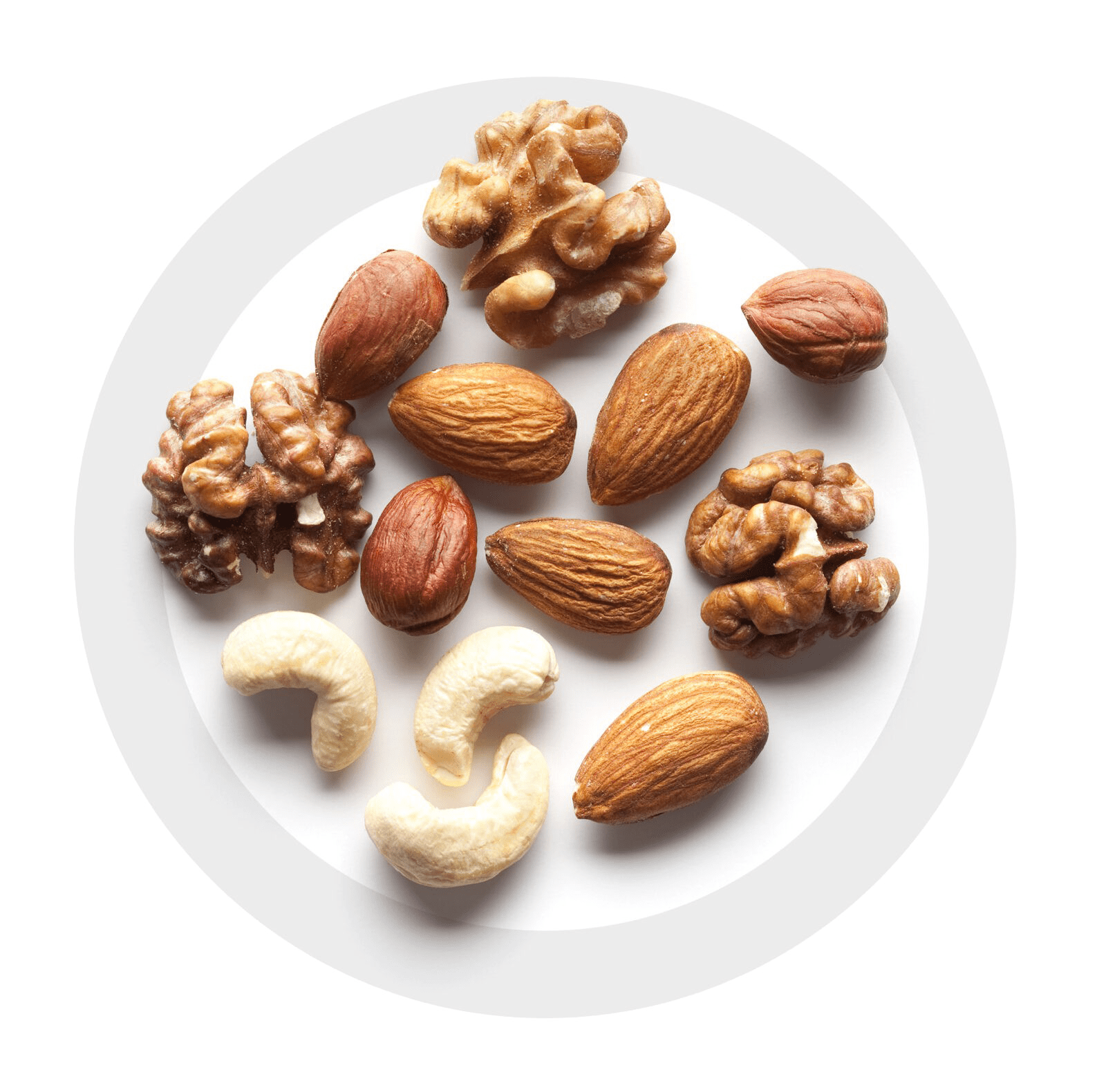 https://moll-marzipan.de/wp-content/uploads/2024/09/Nusskreis-Startseite.png